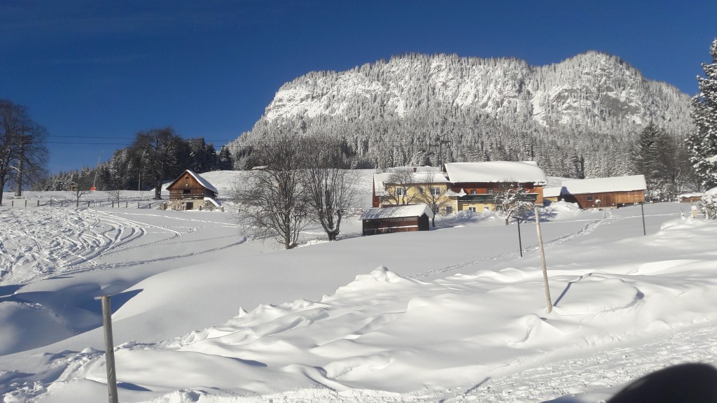 Freshly fallen snow in Tauplitz