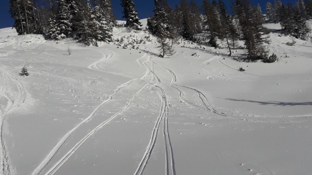 Freeride skiing in Tauplitz