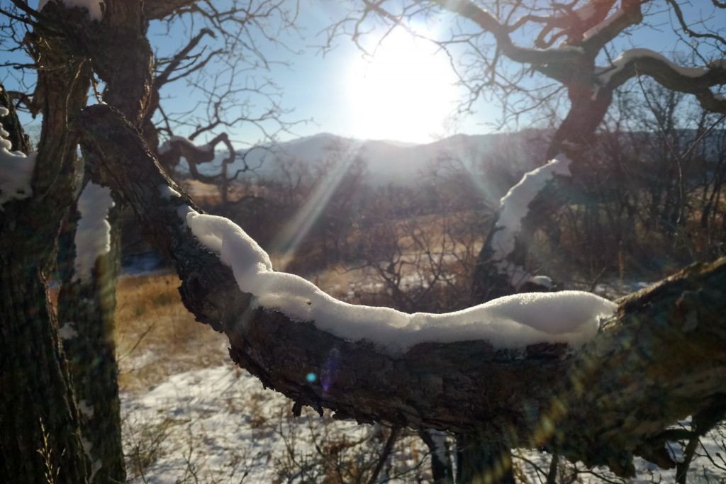 Colorado Snow Shapes