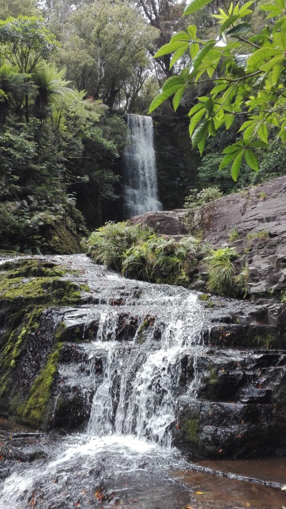 McLean Falls