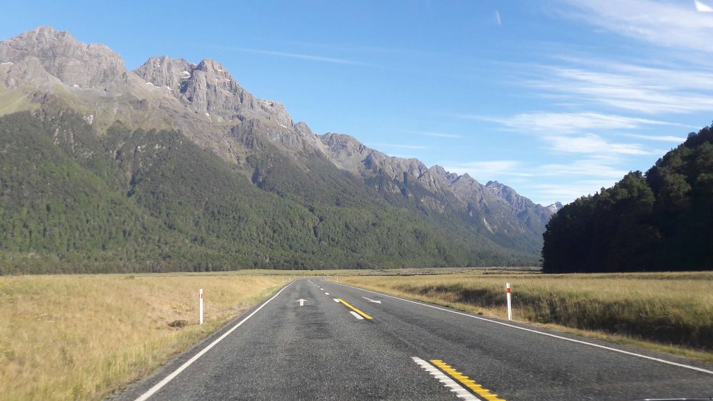 Driving New Zealand