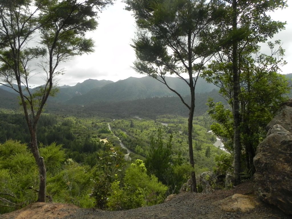 Coromandel Forest Park