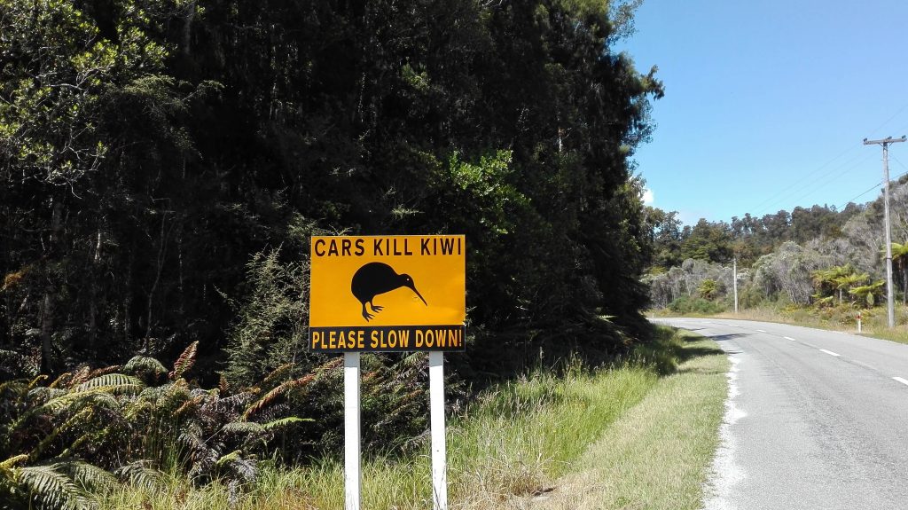 Kiwi driving sign