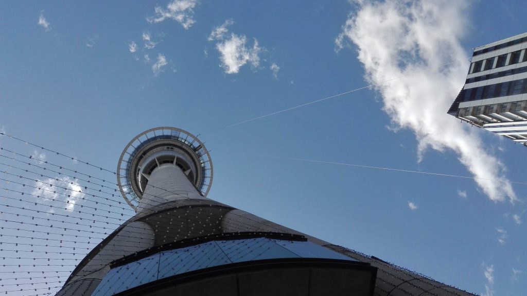 Sky Tower from a little bit different perspective :)