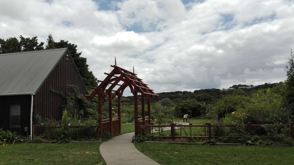 Walking around the Auckland Botanic Gardens and admiring the beautiful nature, not far away from the city bustle.