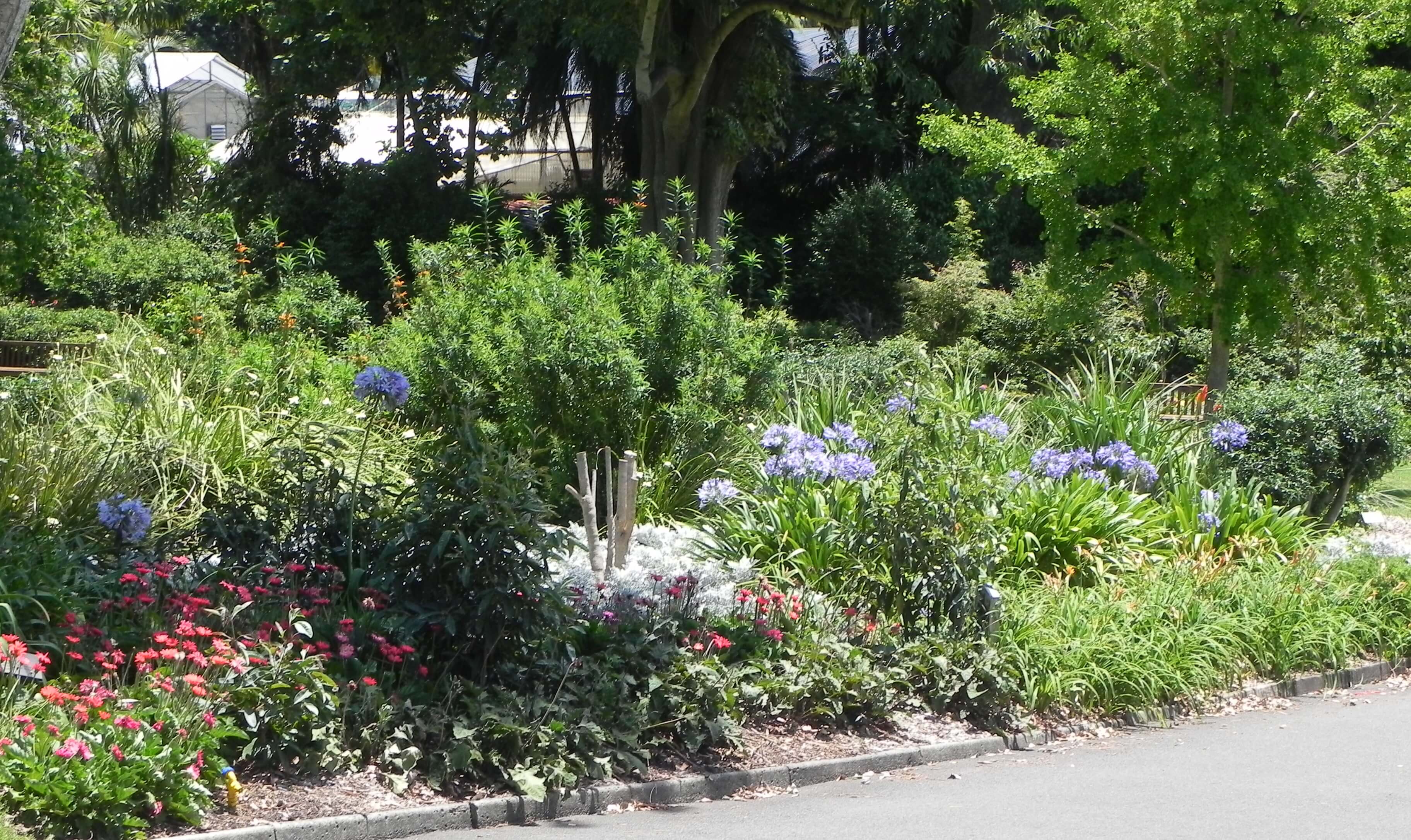 Royal Botanic Garden Sydney