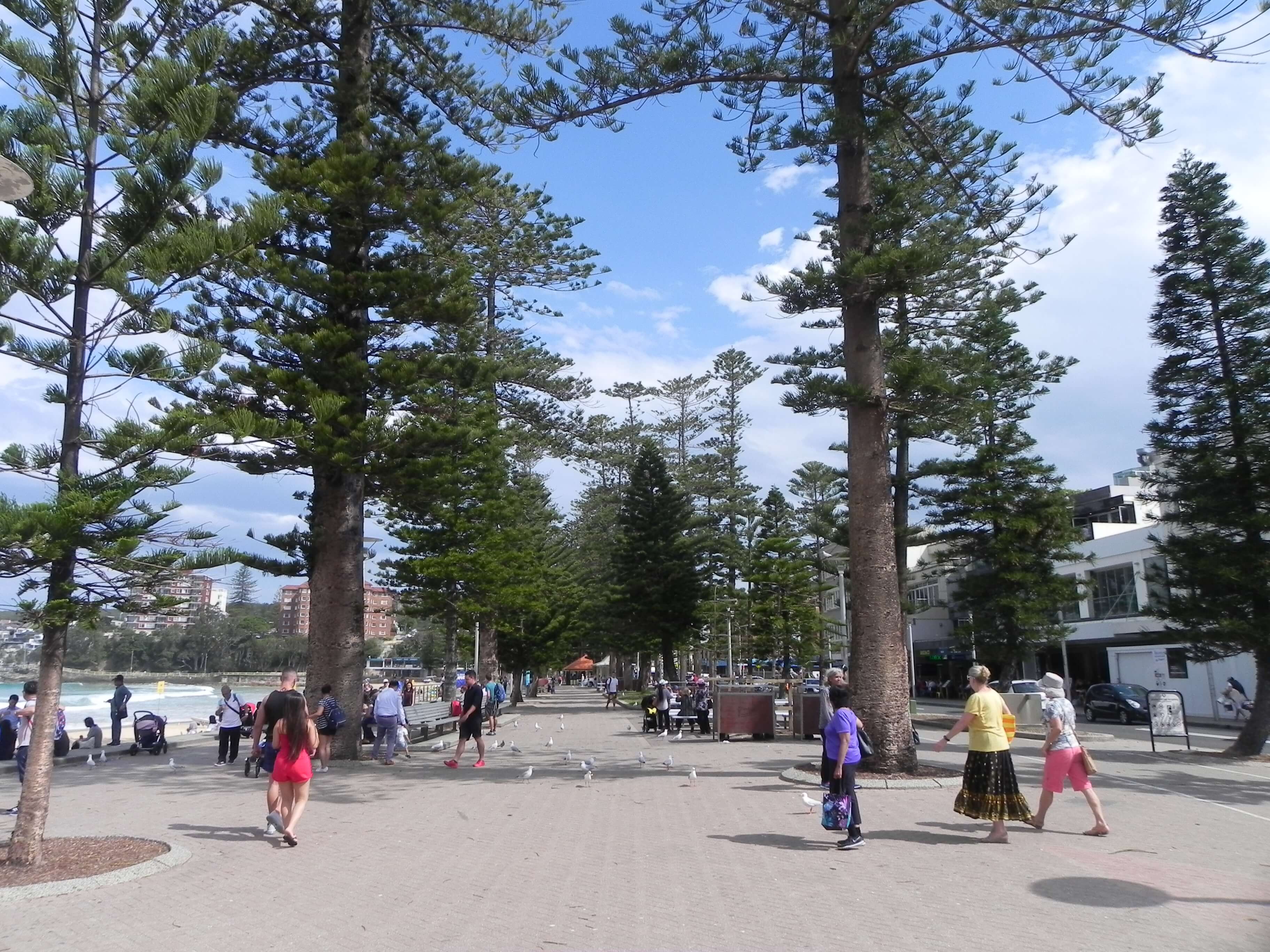 Walk around Manly