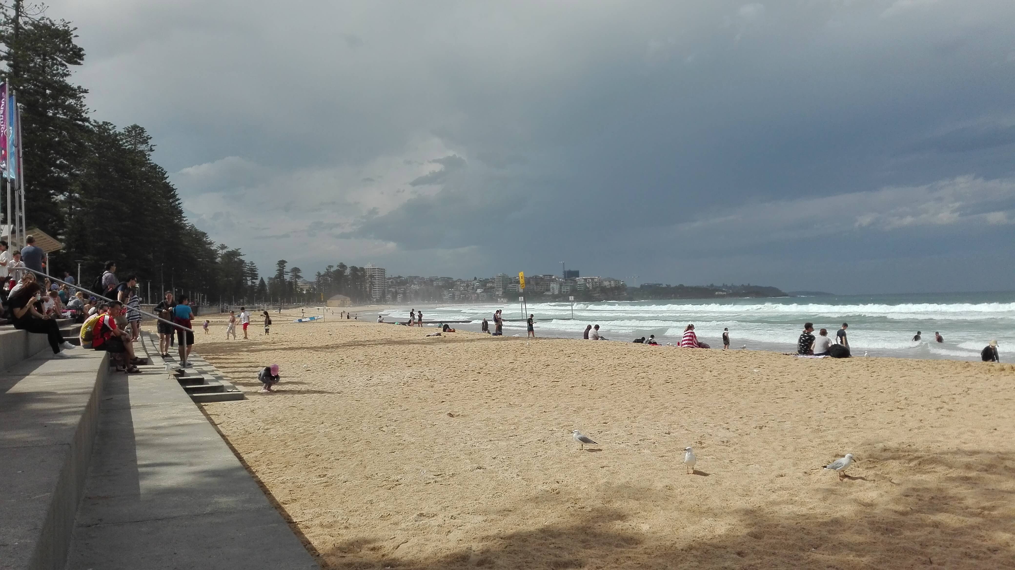 Manly beach