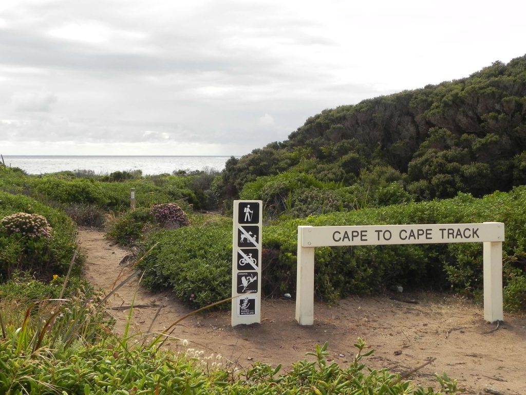 Cape to Cape track