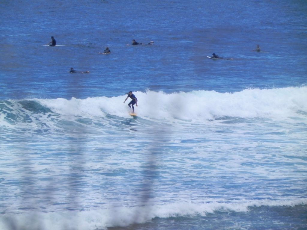 Surfing in Australia