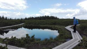 Rogla hiking trail Lovrenška jezera