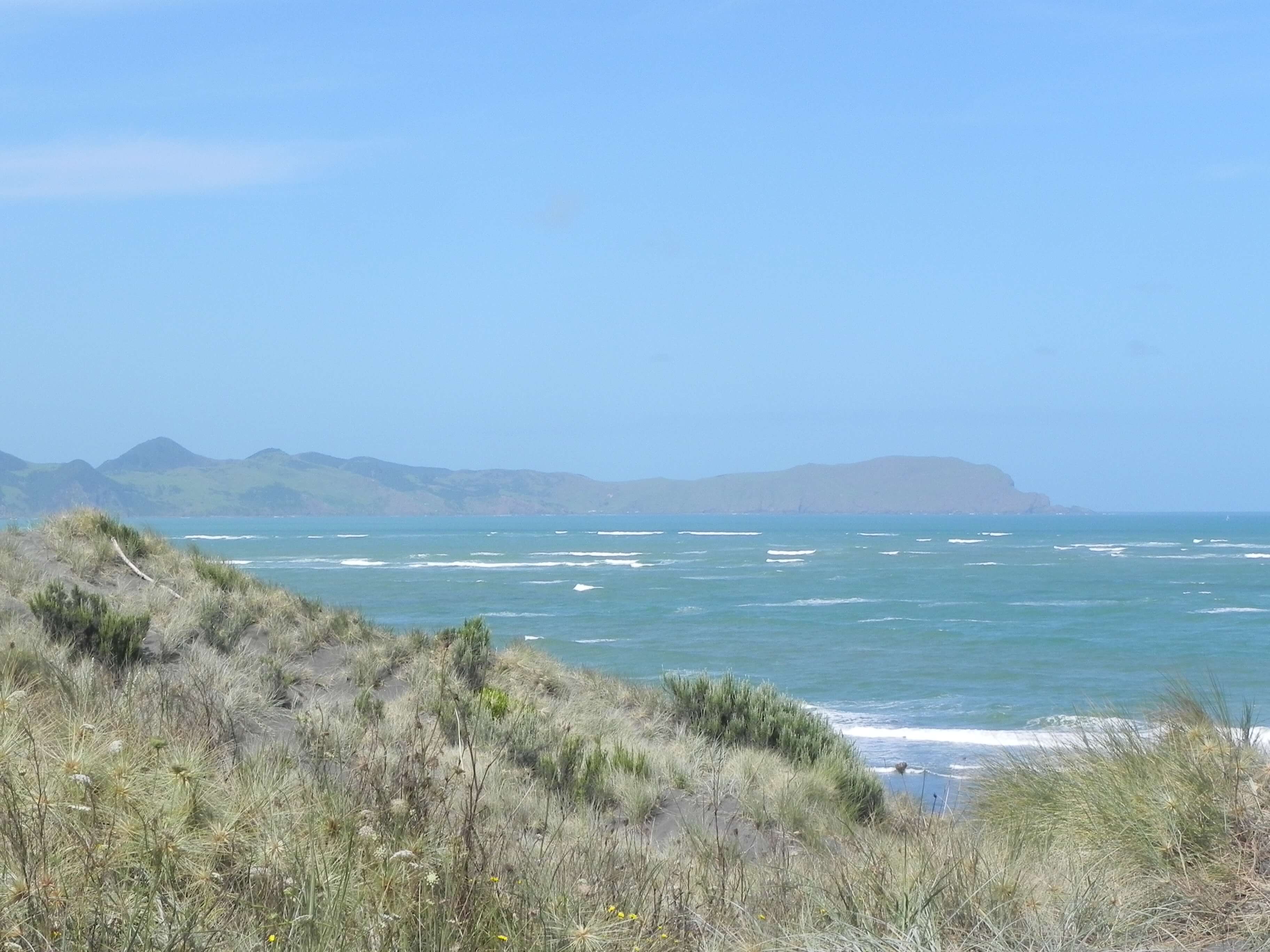 New Zealand Northern Island Travel Guide