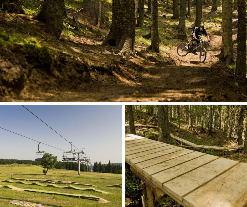 Bike Park Rogla Slovenia