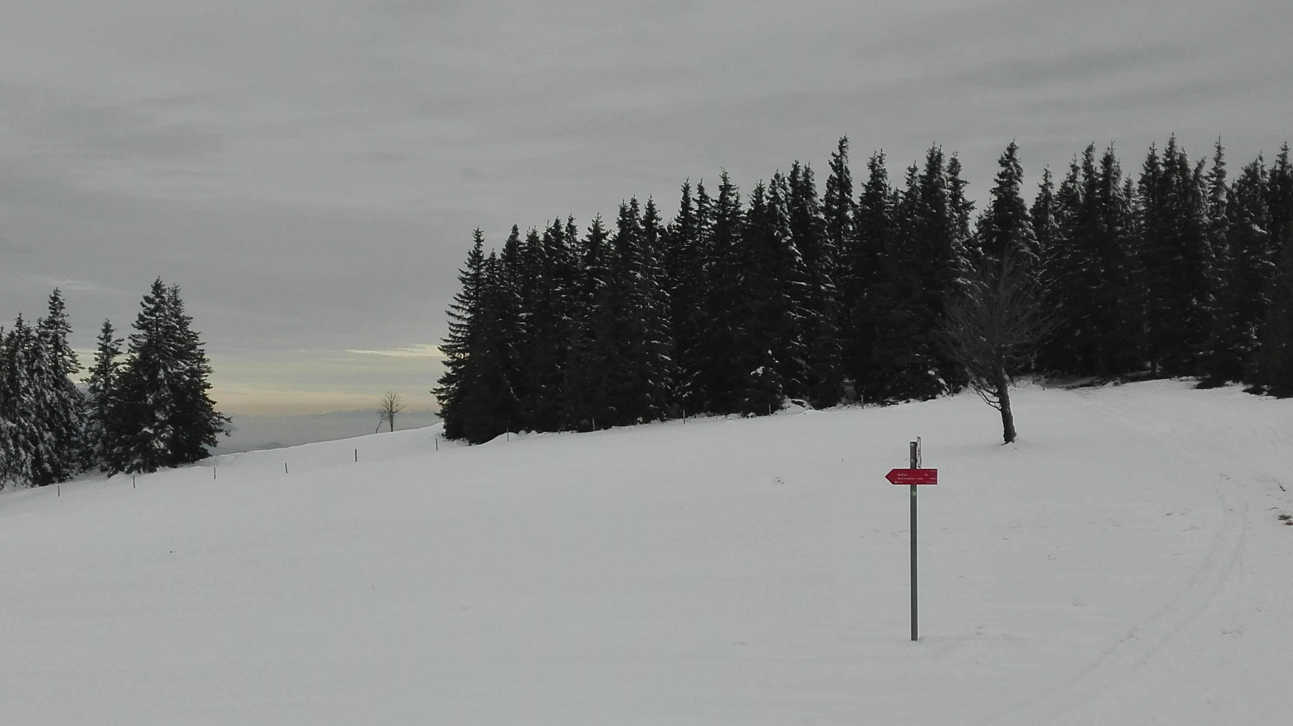 winter hike from Ribniška Koča to Kope