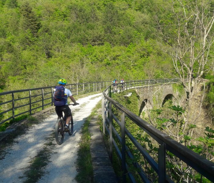 Bikepacking Parenzana trail